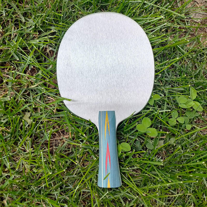Tafeltennisbasisplaat van alum - Allsports Equipment recensie en prijs