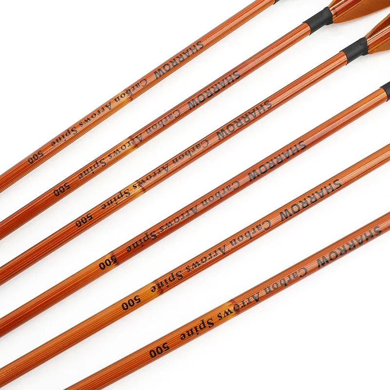 6/12 stuks gemengde carbon pij - Archery Target Face recensie en prijs